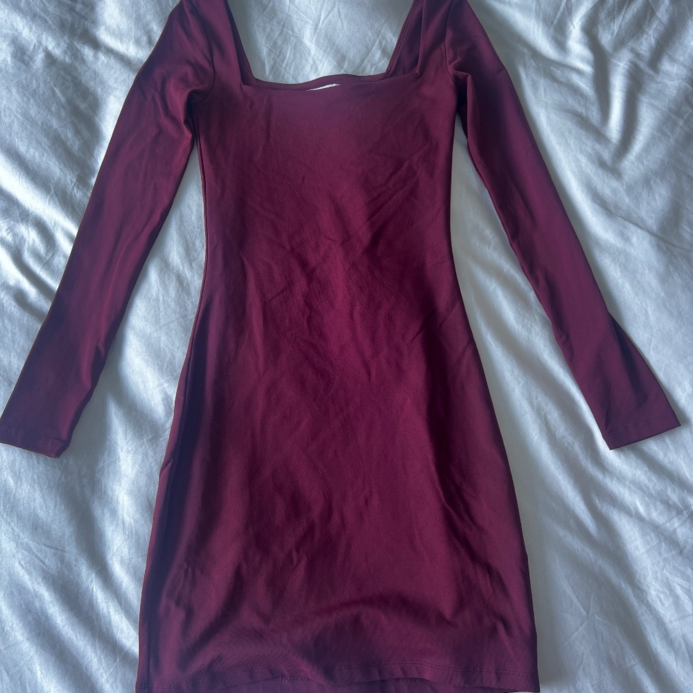 Aritzia Bodycon Dress